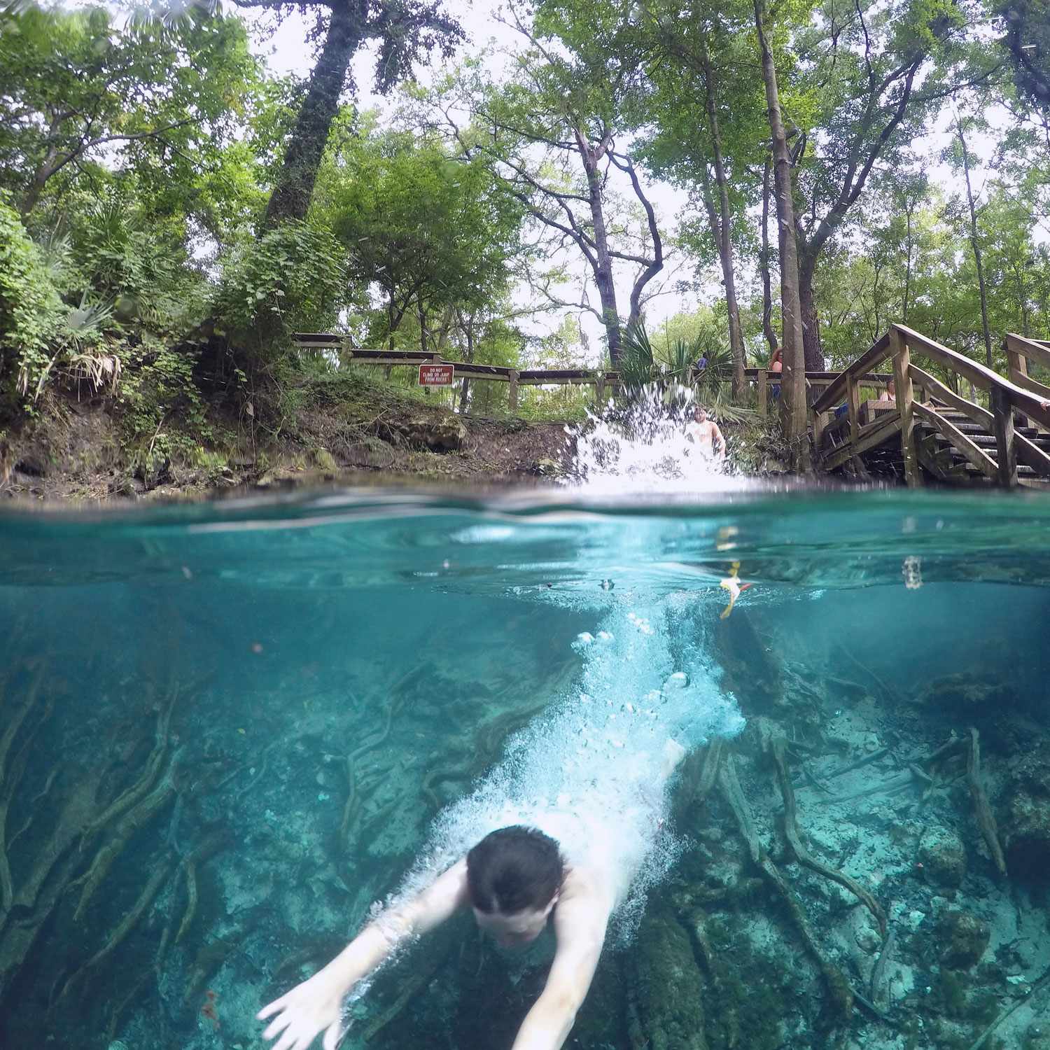 Beat the summer heat at Florida&#8217;s freshwater springs