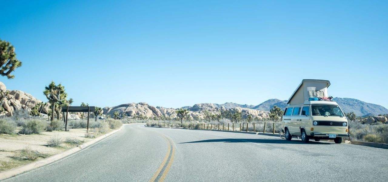How to support Joshua Tree National Park from a distance during the coronavirus