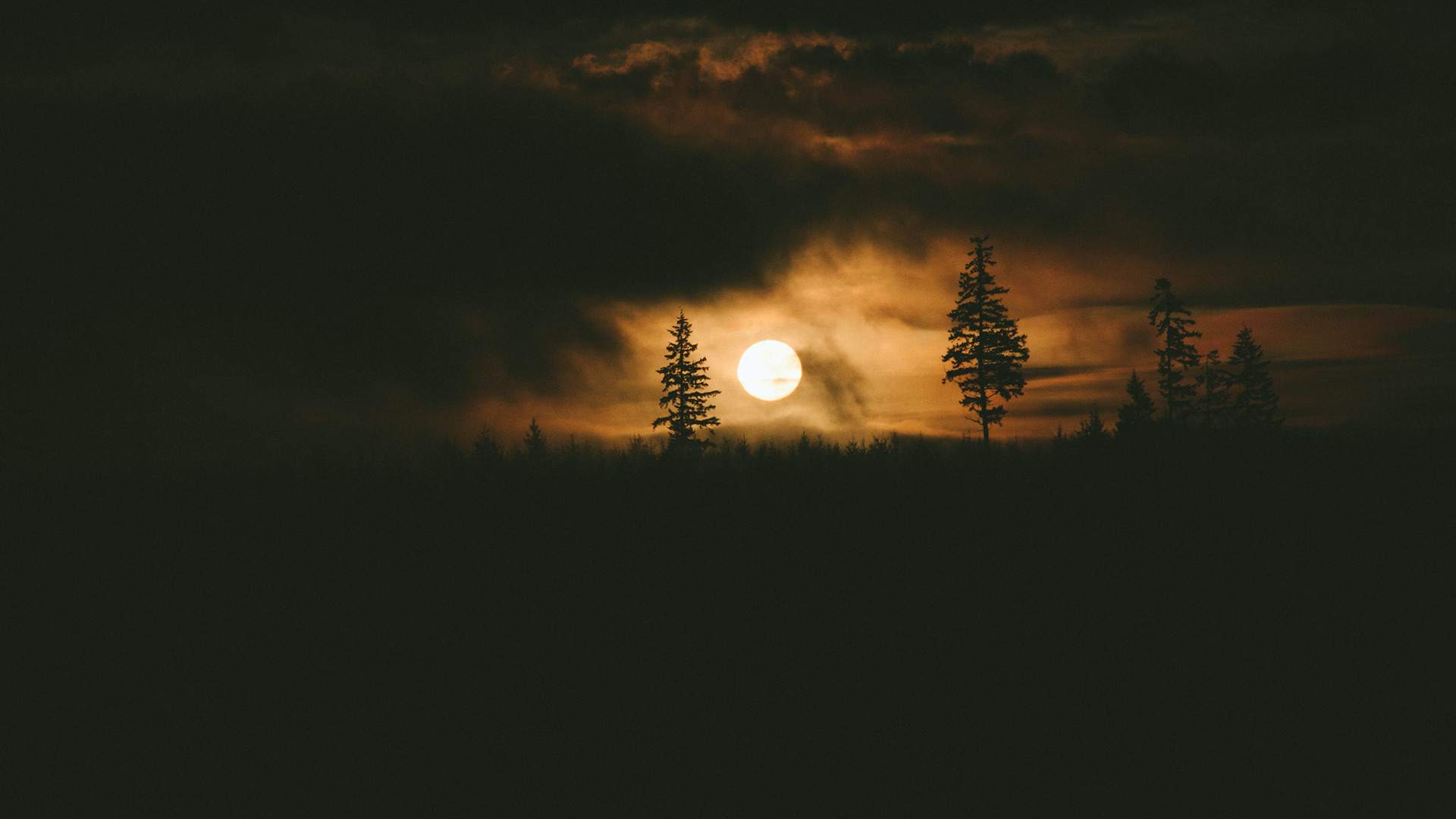 7 haunted campgrounds to visit this Halloween