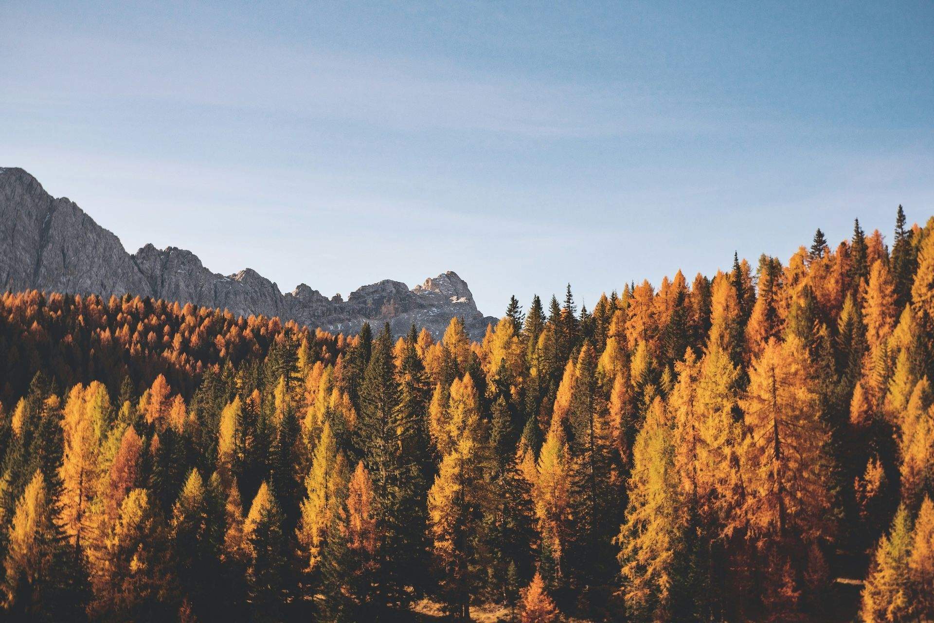 Cozy Up at Outdoorsy’s Fall Stays