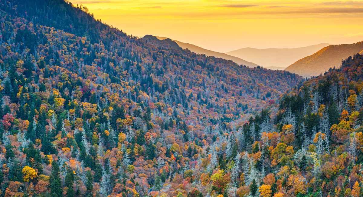 Smoky Mountains autumn: timing your RV trip to peak color